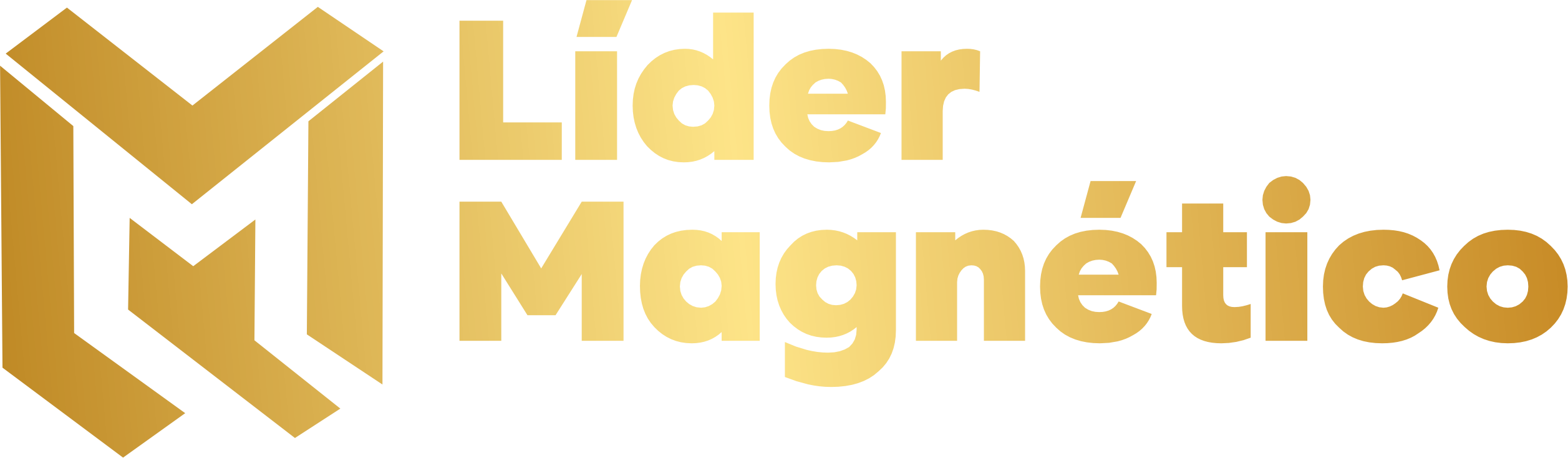 Curso Online Lider Magnetico